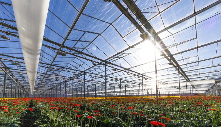 Glastuinbouw rapport Merit-order warmte