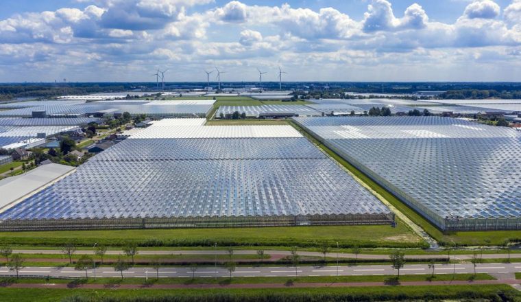 Plukmade locatie