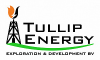 logo-tullip-energy